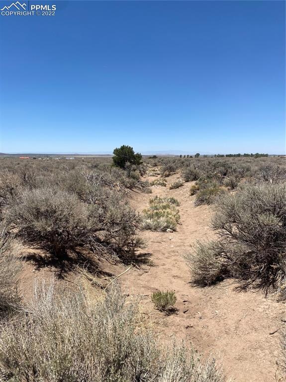 000 Degaulle Rd, Fort Garland, CO 81133 - photo 5