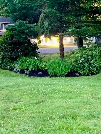 6 Shingle Brook Rd, Orange, MA 01364 - photo 3