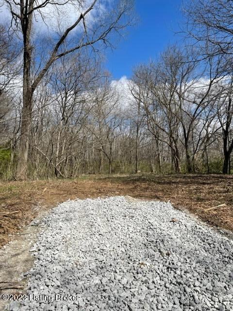 0 Sulphur Rd unit 1632435, Sulphur, KY 40070 - photo 4