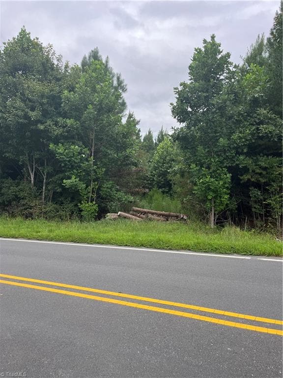 0 S Stokes School Rd, Walnut Cove, NC 27052 - photo 3