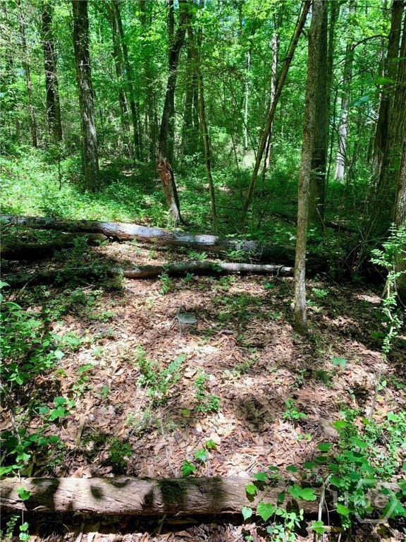 0 Martin Luther King Junior Dr unit CL336436, Commerce, GA 30529 - photo 5