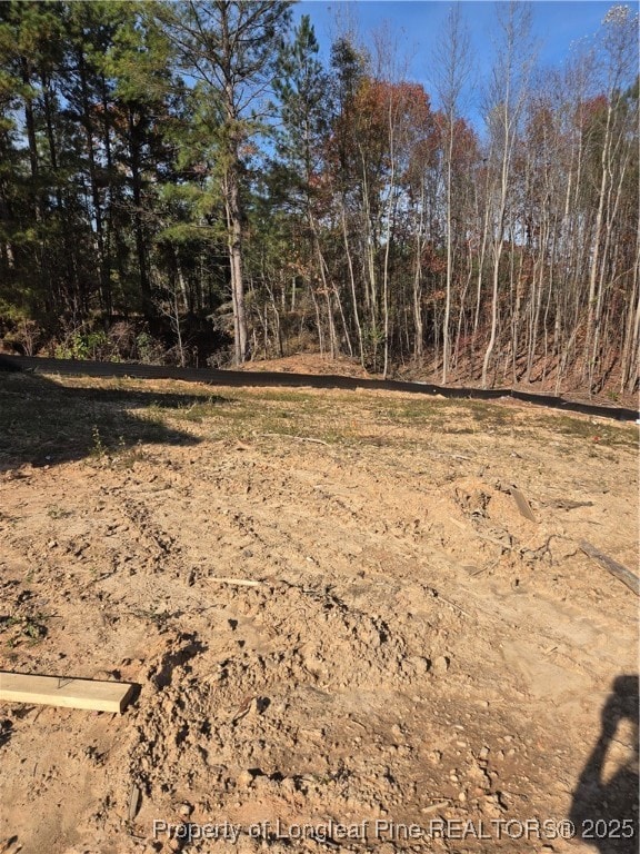 311 One Tree Hill, Sanford, NC 27330 - photo 4