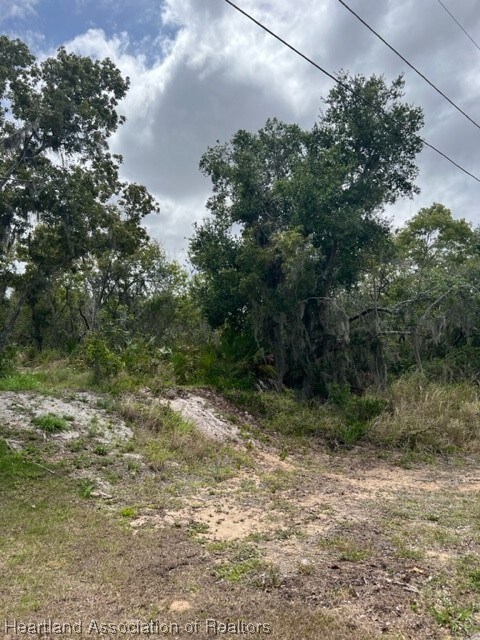 255 S Huntley Dr, Lake Placid, FL 33852 - photo 3