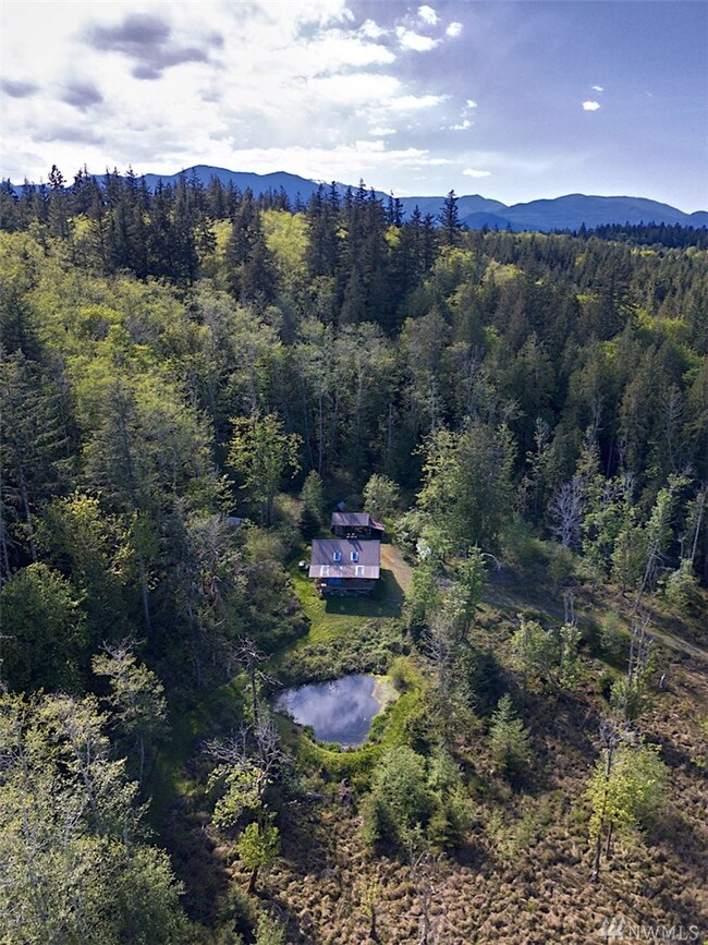 1022 Carl Johnson Rd, Quilcene, WA 98376 - photo 3