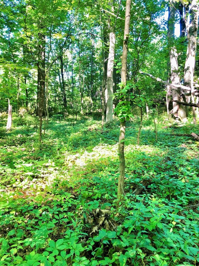 0 Southers Rd unit 202029107, Hudson, NY 12534 - photo 2