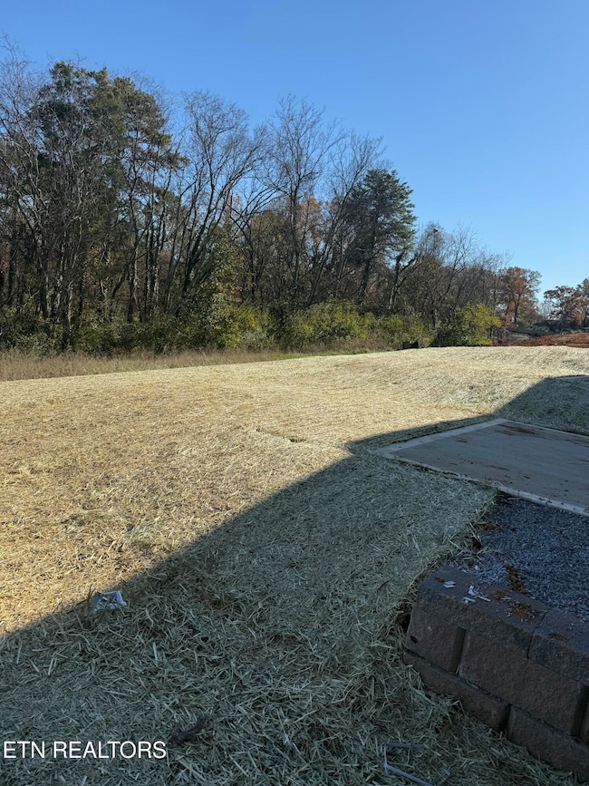 1726 Bennett Village Dr, Maryville, TN 37804 - photo 4