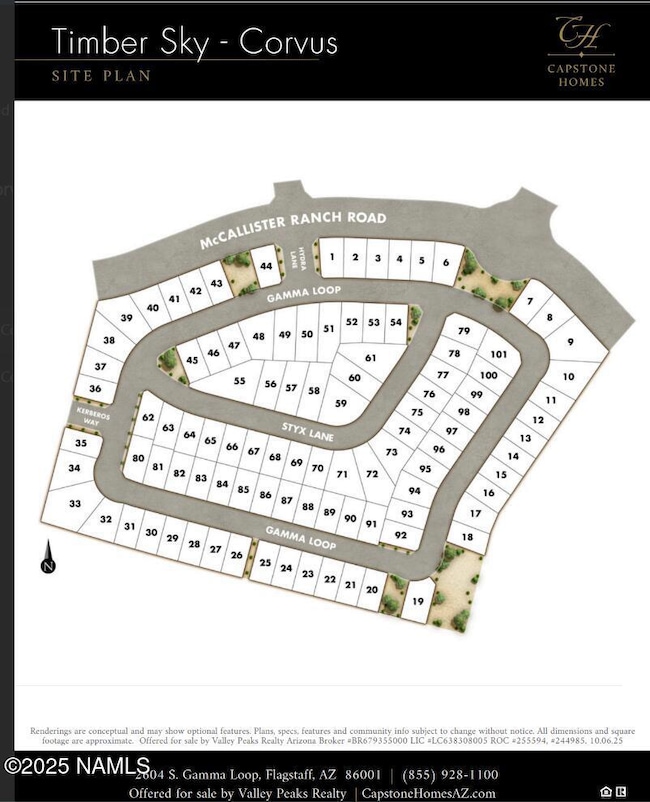 3733 W Styx Ln unit Lot 62, Flagstaff, AZ 86001 - photo 4