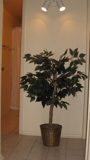 Tiled entryway