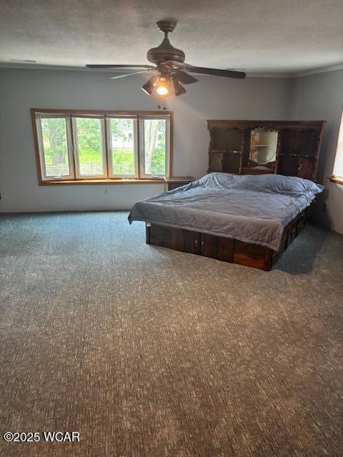 648 Hazel Ave, Lima, OH 45801 - photo 6