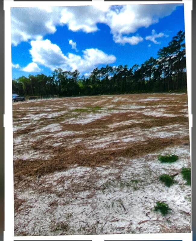 Lot view of clear land and property line
