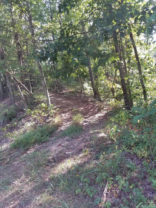 8 Goode Mountain