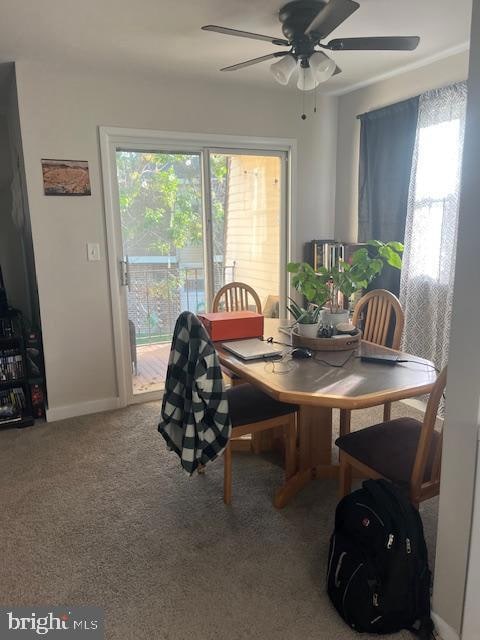 8 Florence Tollgate Place, Florence, NJ 08518 - photo 5