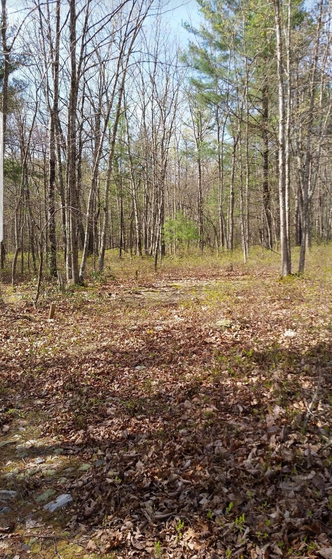 0 galax rd pic 2