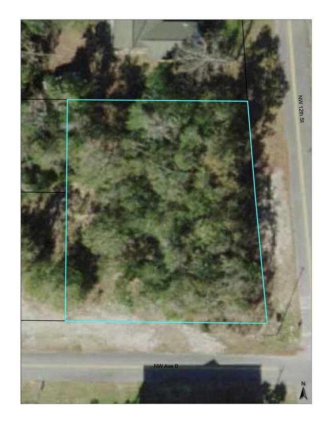 301 NW 12th St, Carrabelle, FL 32322 - photo 2