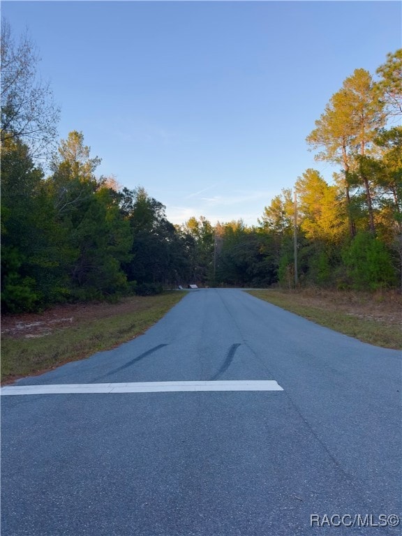 7741 N Oasis Point, Citrus Springs, FL 34433 - photo 4