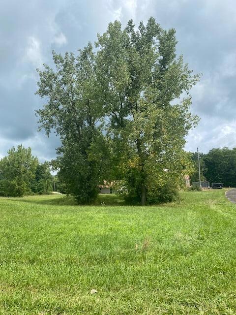 7326 State Route 19 unit 1, Lots 62-63, Mount Gilead, OH 43338 - photo 2