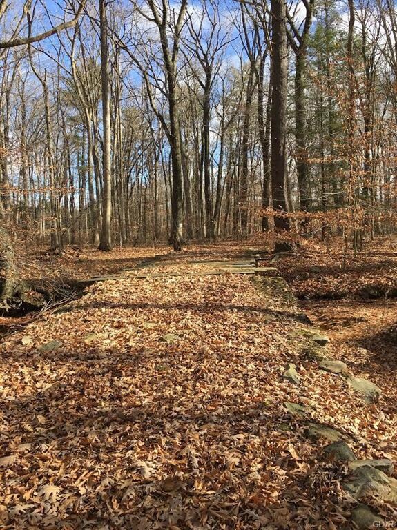 0 Bushkill Dr unit 535707, Bath, PA 18014 - photo 6