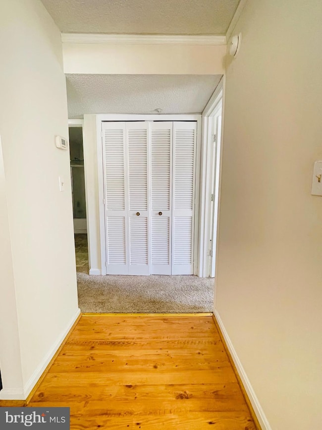 14229 Bowsprit Ln unit 501, Laurel, MD 20707 - photo 7