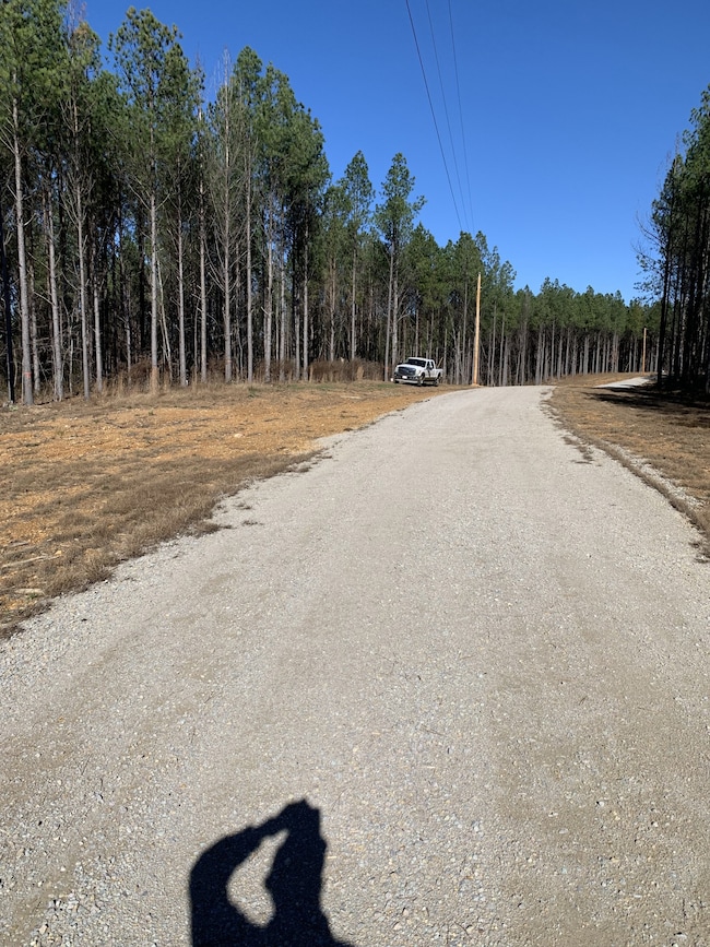 230 Fernwood Dr, Hohenwald, TN 38462 - photo 6