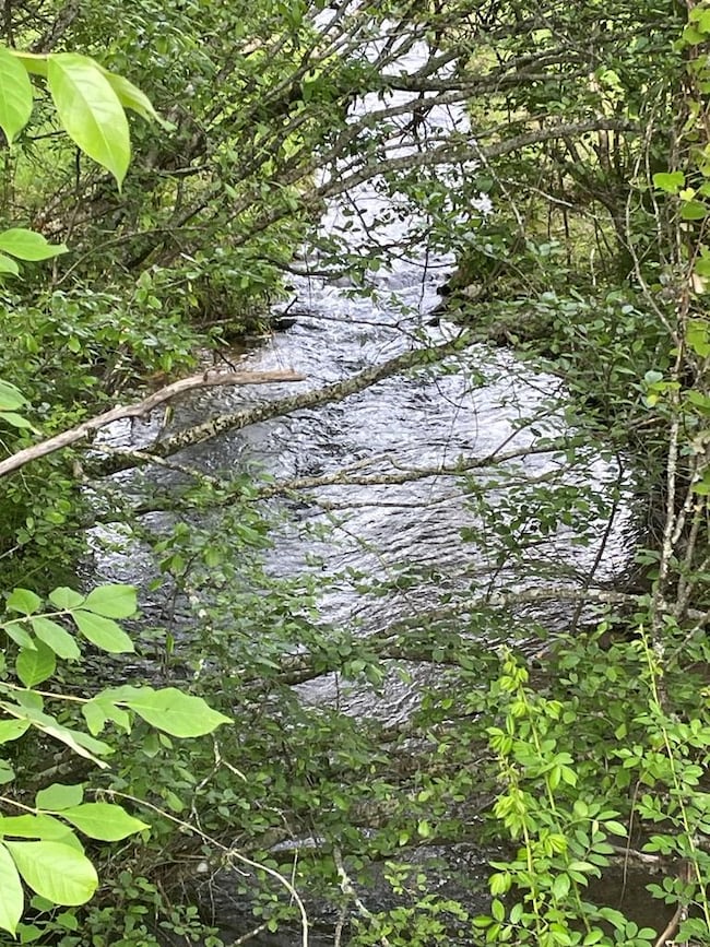 00 Hidden Lakes Rd, Topton, NC 28781 - photo 2