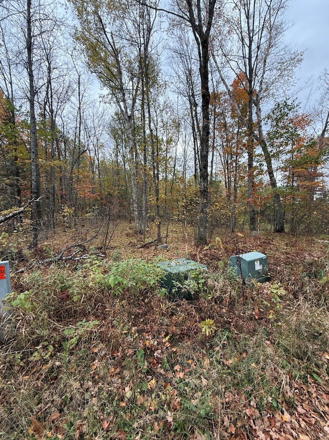 LOT 2 Birch Ln, Nashville, WI 54465 - photo 5