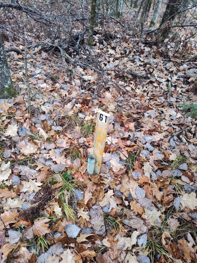 ON Lake Rd, Monico, WI 54501 - photo 4