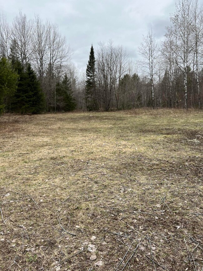 5455 N Tee Lake Rd, Germfask, MI 49836 - photo 2