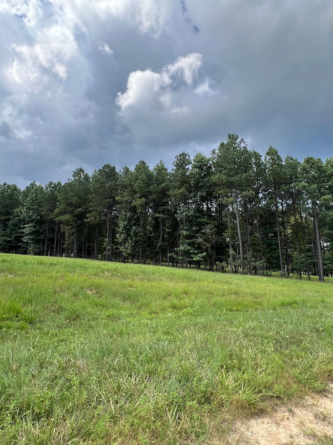 Lot 81 Crockett Loop, Jasper, TN 37347 - photo 3