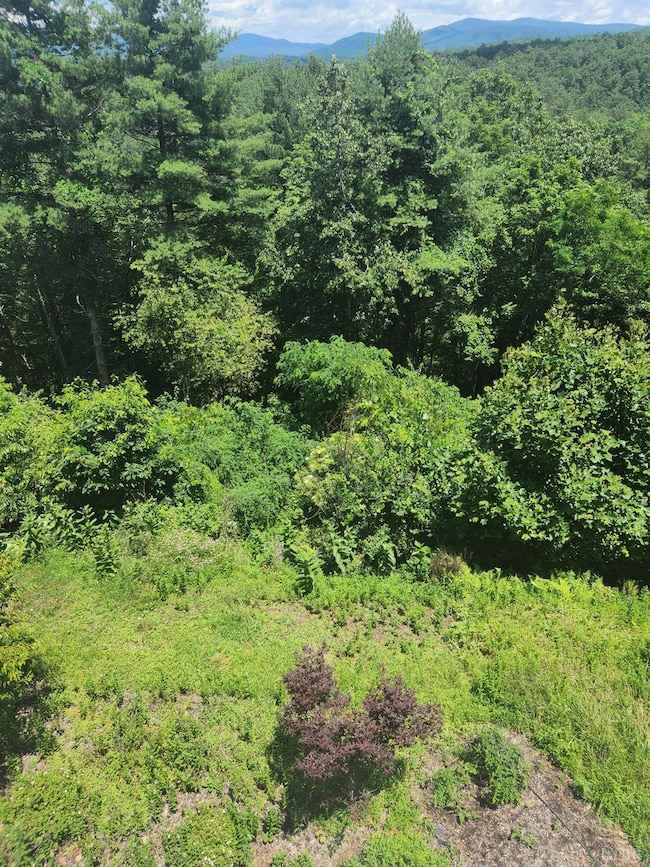 0 Turkey Top Cir unit 362748, Augusta, VA 24485 - photo 3