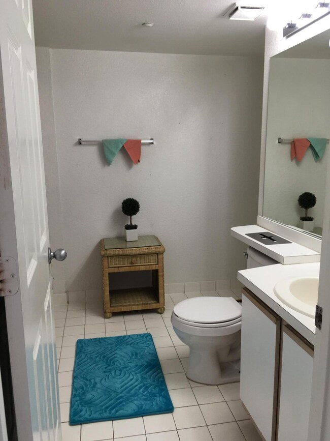 Hall bathroom