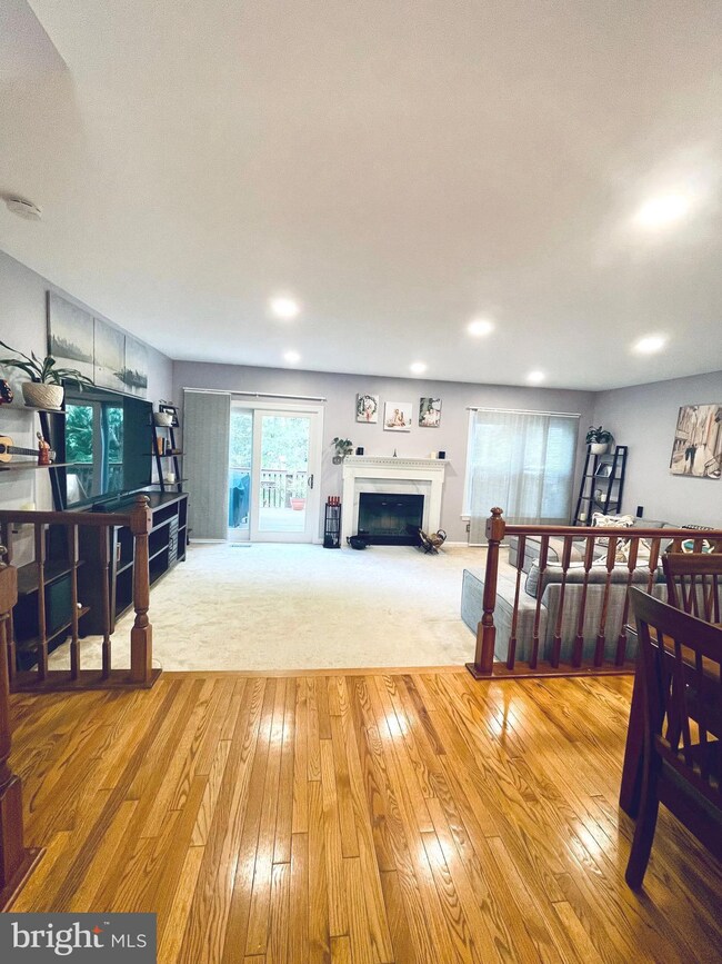 7203 Squirrel Run Ct, Springfield, VA 22152 - photo 3