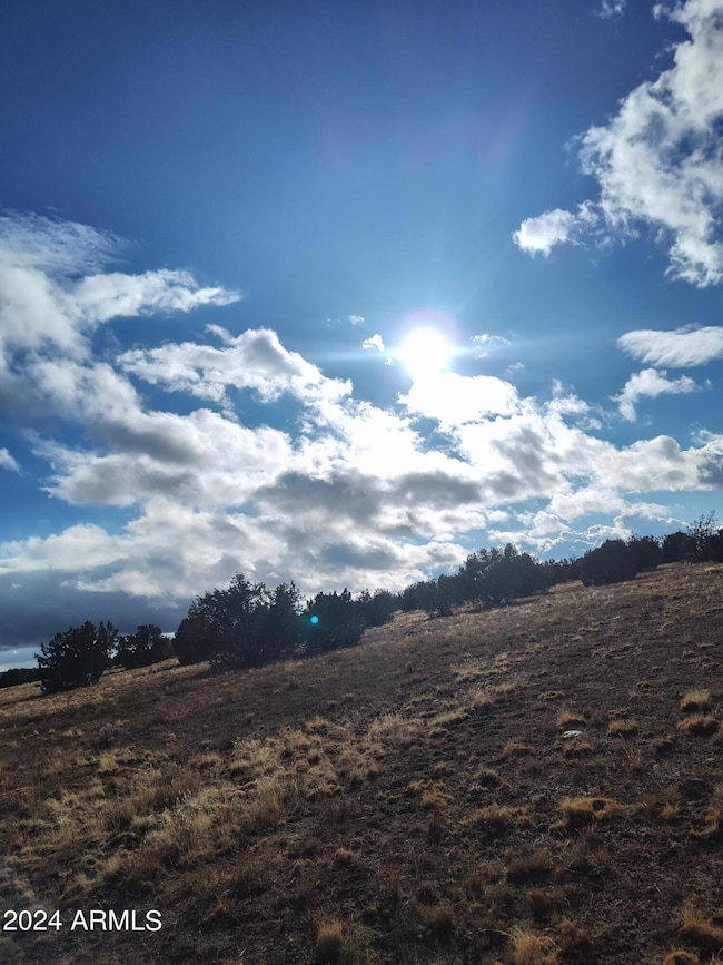 000000 Bullock Rd unit 53, Ash Fork, AZ 86320 - photo 4