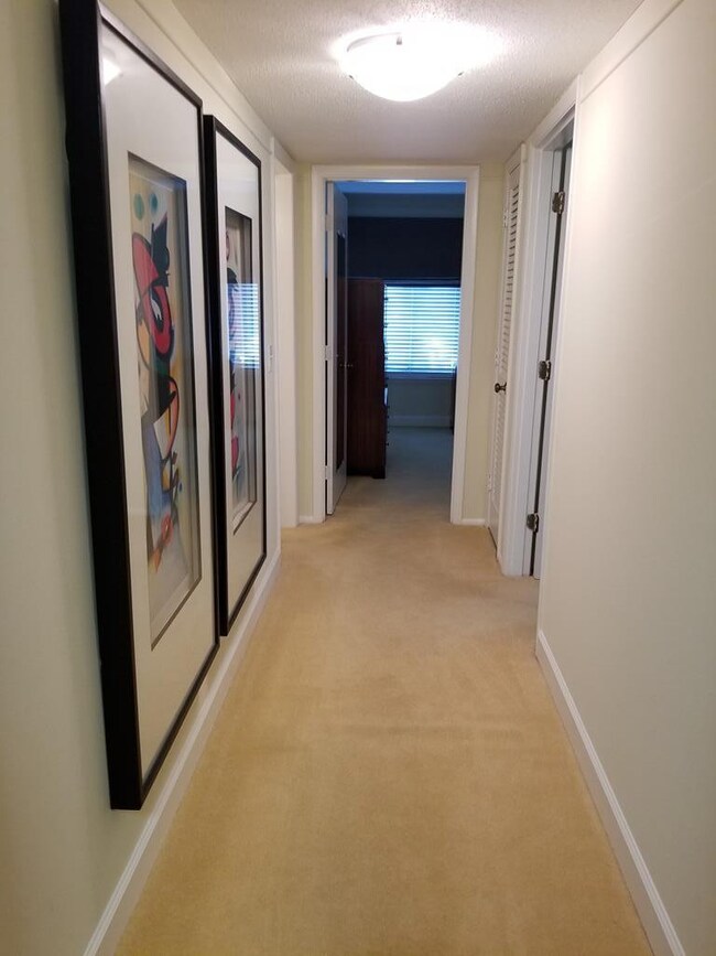 Hallway to Bedrooms