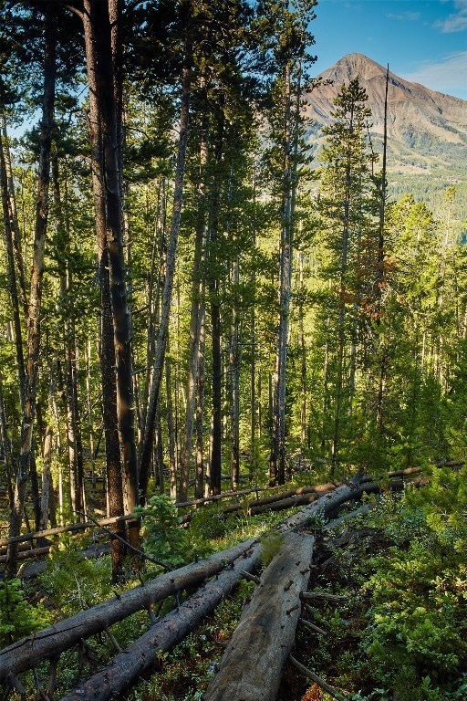 12 Ulerys Lakes Rd, Gallatin Gateway, MT 59730 - photo 4