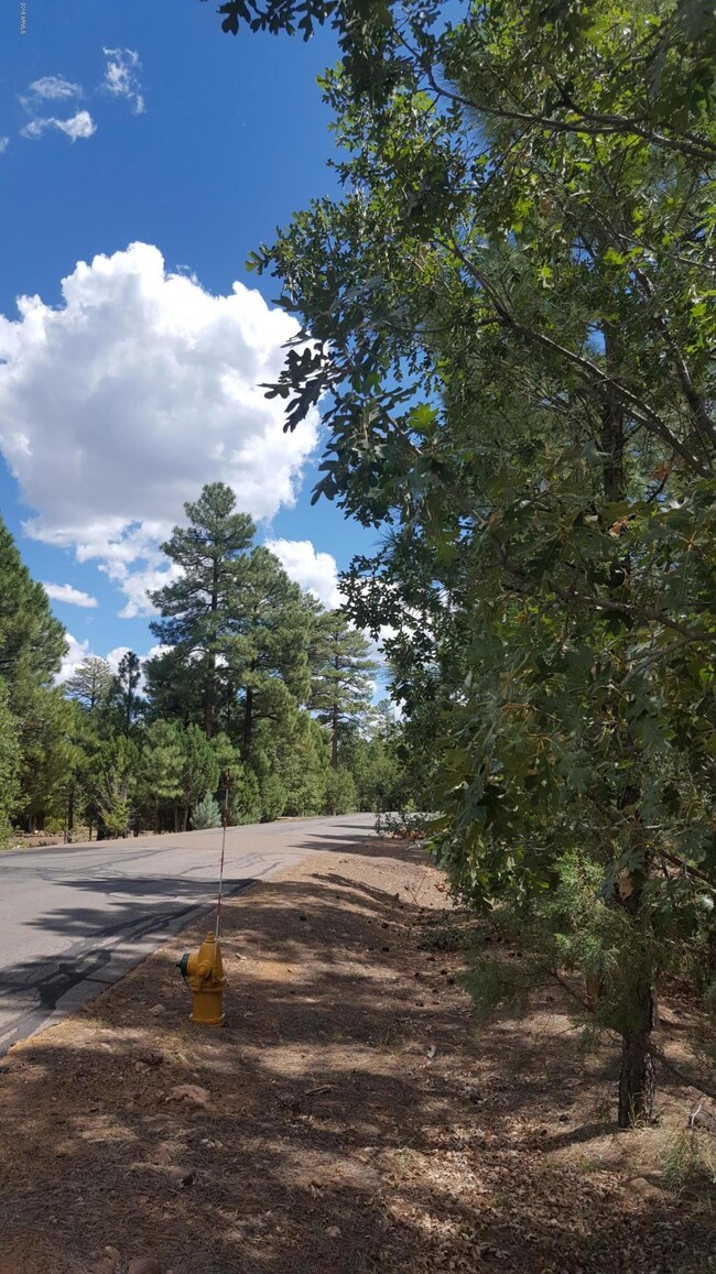 Front of Lot to right