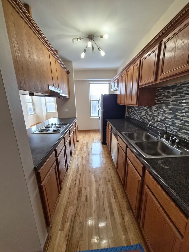 4828 S Indiana Ave unit 201, Chicago, IL 60615 - photo 6