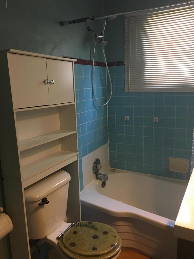 Bathroom Tub - Copy