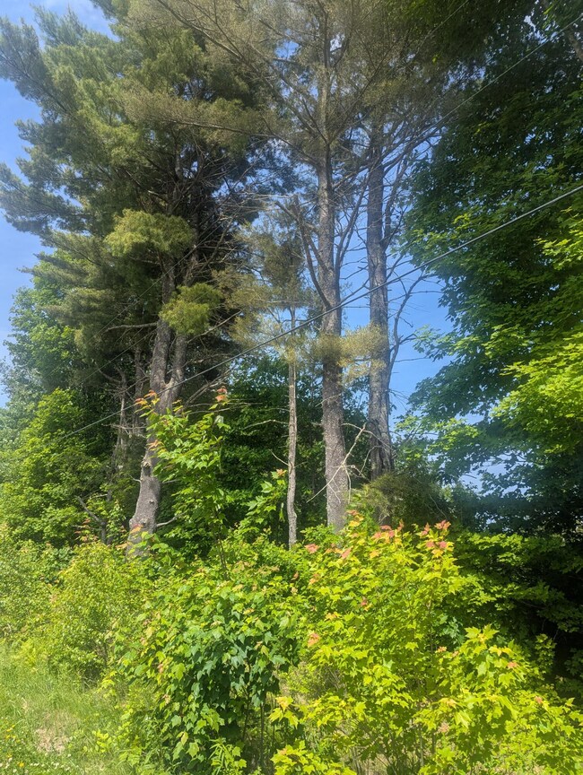 PXL_20250617_185811879