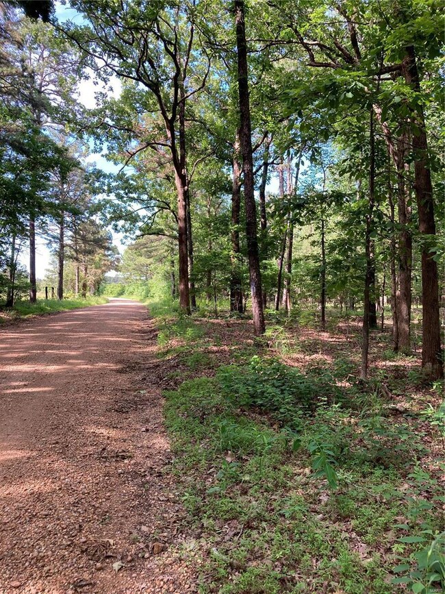 0 Cr 436 unit 22034571, Poplar Bluff, MO 63901 - photo 4