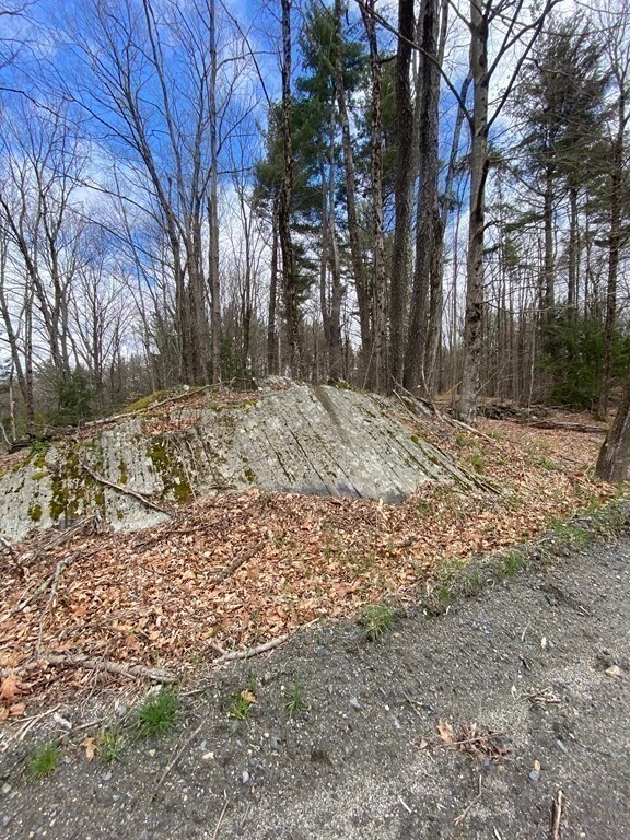 0 Stage Rd unit 72973282, Cummington, MA 01026 - photo 7