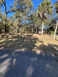 1204 Davies Rd, Brandon, FL 33511 - photo 2