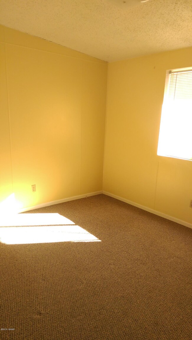 53 S Chiricahua Trail, Springerville, AZ 85938 - photo 4