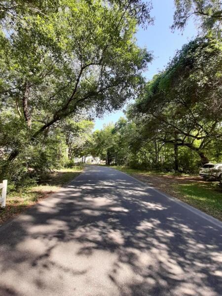 Trees in neighborhood