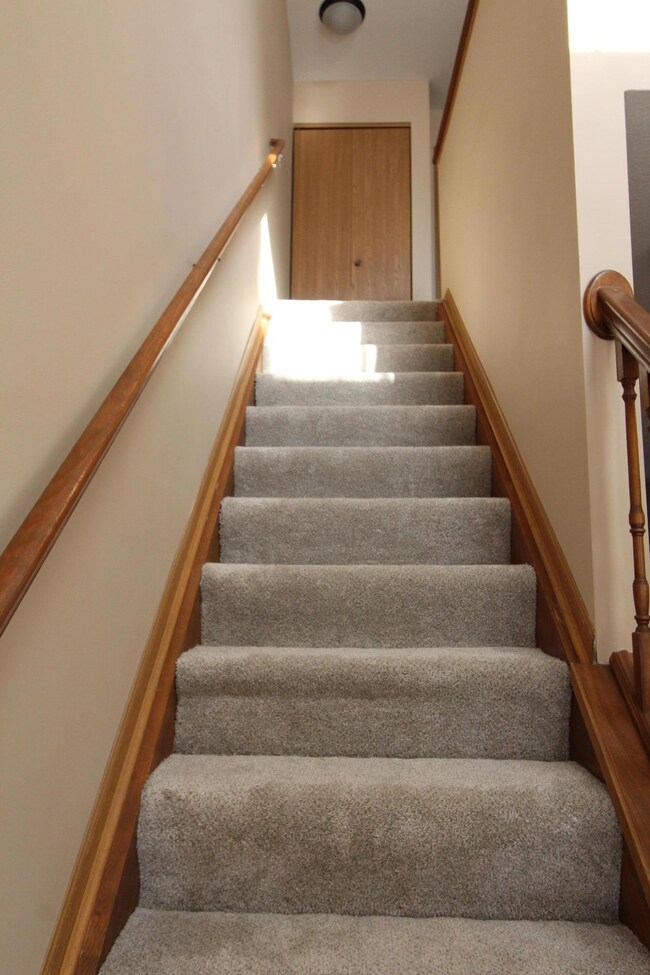 Stairs with New carpet