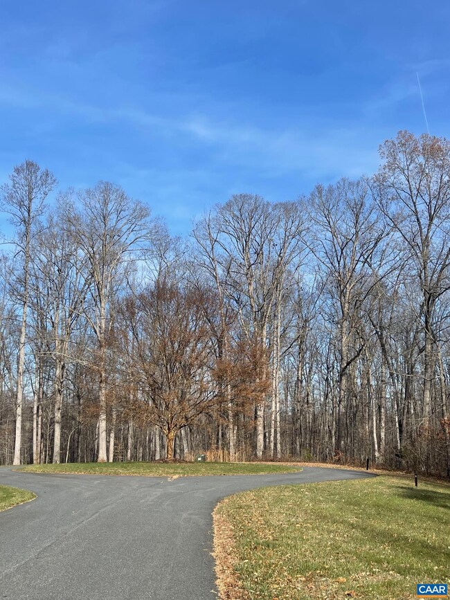 TBD Sage Ct, Fray 'S Grant, VA 22936 - photo 3