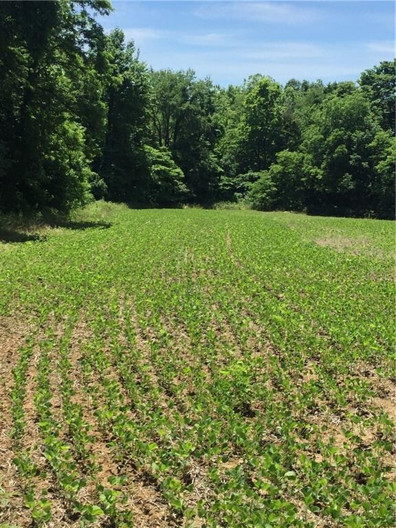 0 Barger Rd, Posey Township, IN 47024 - photo 2