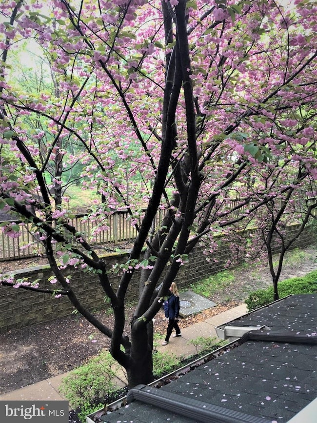 2331 Henshaw Place unit 101, Alexandria, VA 22311 - photo 2