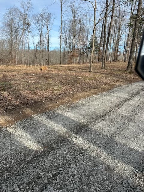 Recently added gravel in portions of the road, leading to the corner lot.