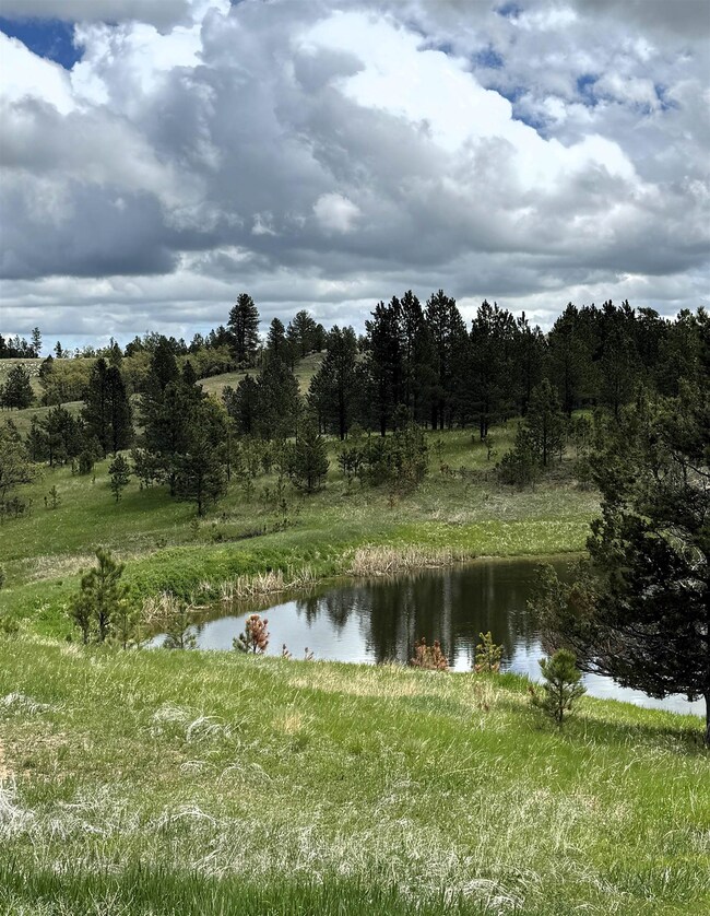 E2 Soaring Eagle Rd, Hulett, WY 82720 - photo 6