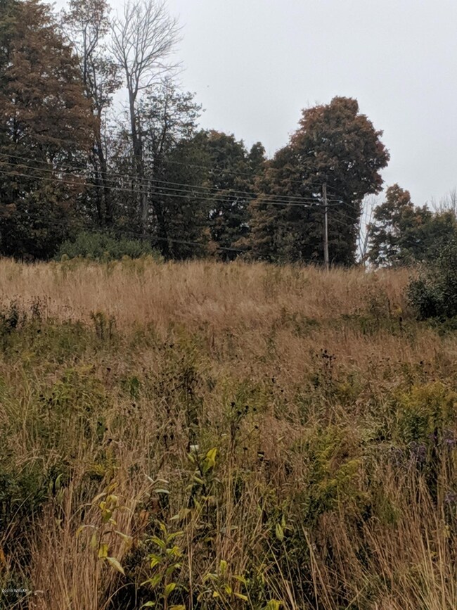 MVIMG_20191007_152734